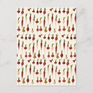 Ernst Benary's Radish Soreties Vykort