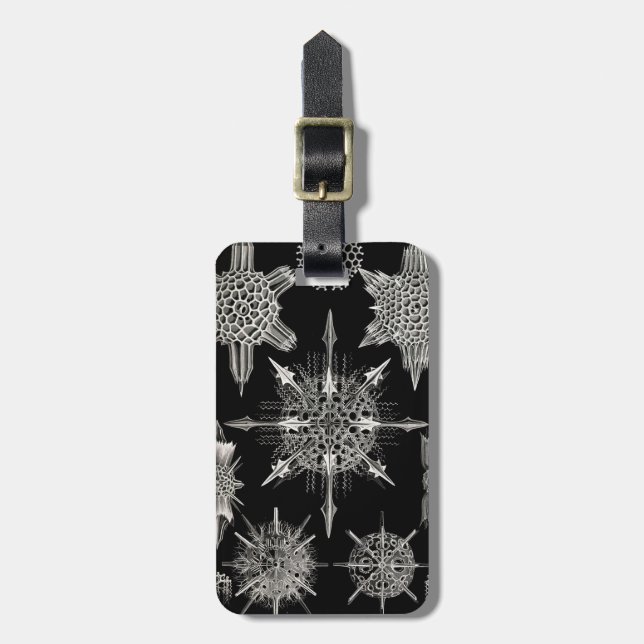 Ernst Haeckel | Acanthophracta Bagagebricka (Vertikal Framsida)