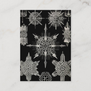 Ernst Haeckel Acanthophracta Visitkort