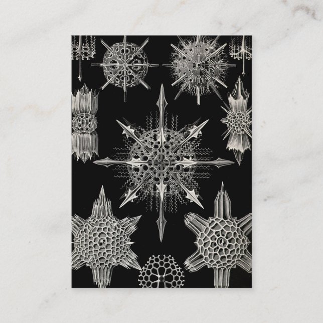 Ernst Haeckel | Acanthophracta Visitkort (Framsida)