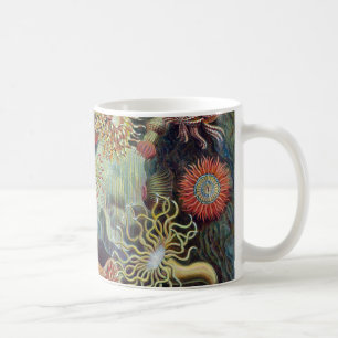 Ernst Haeckel Actiniaea havsanemon Kaffemugg