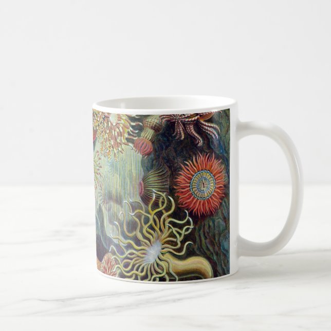 Ernst Haeckel Actiniaea havsanemon Kaffemugg (Höger)
