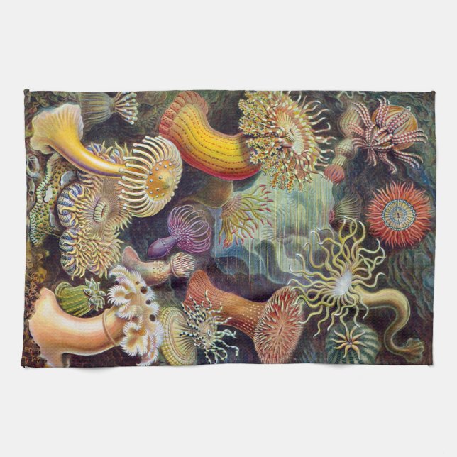 Ernst Haeckel Actiniaea havsanemon Kökshandduk (Horisontell)