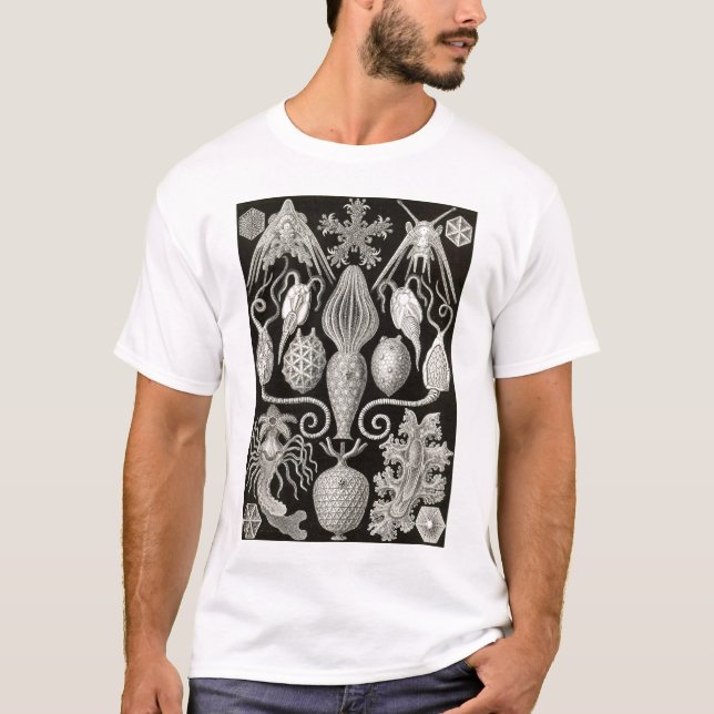 Ernst Haeckel - Amphoridea Tee Shirt (Framsida)