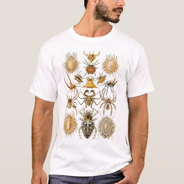 Ernst Haeckel - Arachnida T-shirt (Framsida)