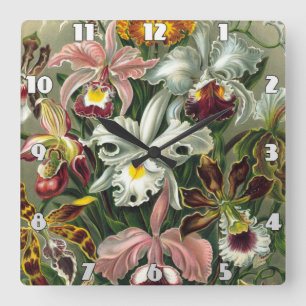 Ernst Haeckel Art Print:Orchidae Oncidiums, tulips Fyrkantig Klocka