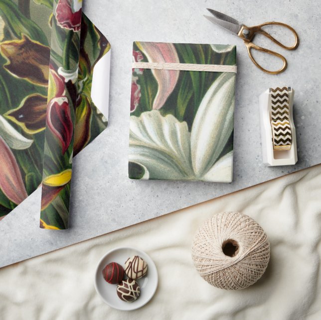 Ernst Haeckel Art Print:Orchidae Oncidiums, tulips Presentpapper (Hantverk)