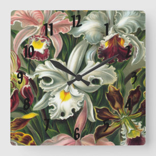 Ernst Haeckel Art Print:Orchidae Oncidiums, tulpan Fyrkantig Klocka