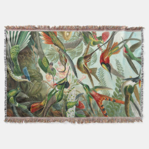 Ernst Haeckel Art Print: Trochilidae Filt