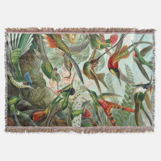 Ernst Haeckel Art Print: Trochilidae Filt