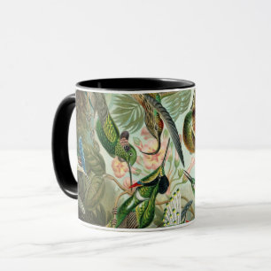 Ernst Haeckel Art Skriv ut: Trochilidae Mugg