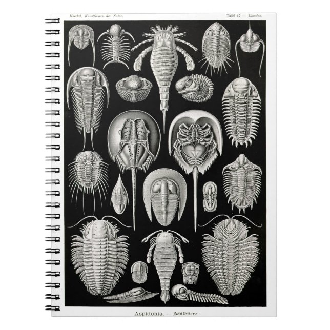 Ernst Haeckel Aspidonia Anteckningsbok (Framsidan)