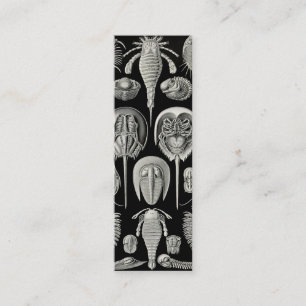 Ernst Haeckel Aspidonia Mini Visitkort