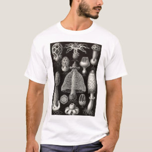 Ernst Haeckel - Basimycetes champinjoner Tee Shirt