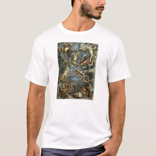 Ernst Haeckel - Batrachia Tee Shirt