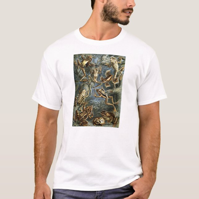 Ernst Haeckel - Batrachia Tee Shirt (Framsida)