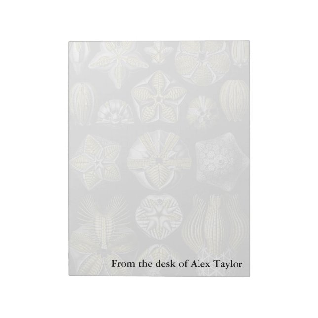 Ernst Haeckel Blastoidea Anteckningsblock (Roterad)
