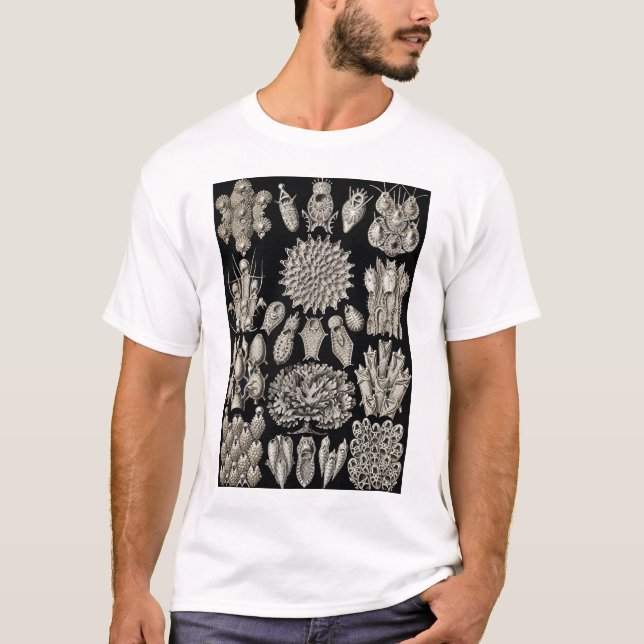 Ernst Haeckel - Bryozoa2 Tshirt Tee (Framsida)