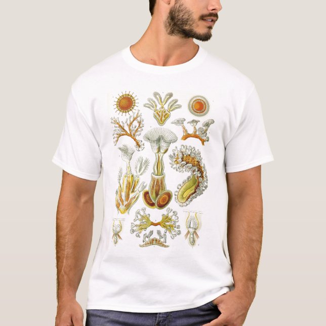 Ernst Haeckel - Bryozoa Tshirt Tröja (Framsida)