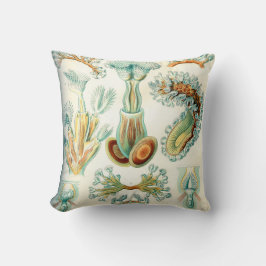 Ernst Haeckel Bryozoainvertebrates Kudde