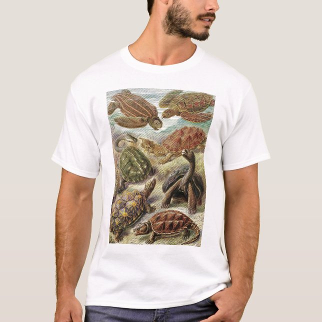 Ernst Haeckel - Chelonia T-shirt (Framsida)