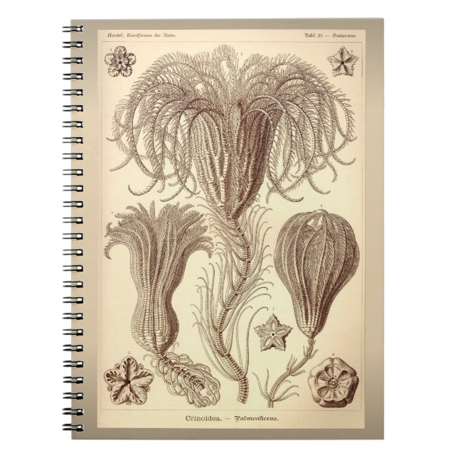 Ernst Haeckel- Crinoids Anteckningsbok Med Spiral (Framsidan)