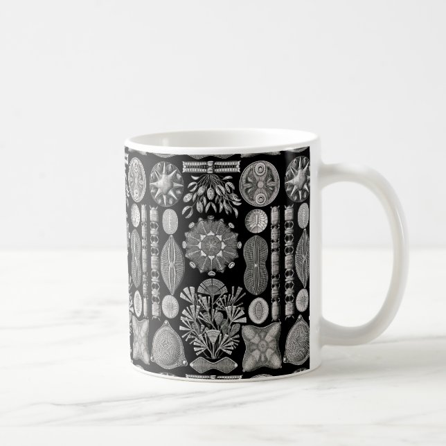 Ernst Haeckel Diatomea Kaffemugg (Höger)