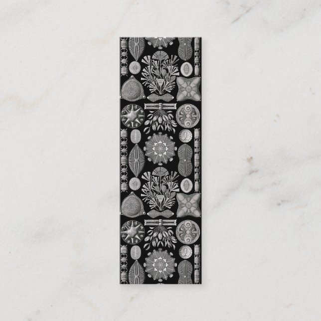 Ernst Haeckel Diatomea Mini Visitkort (Framsida)
