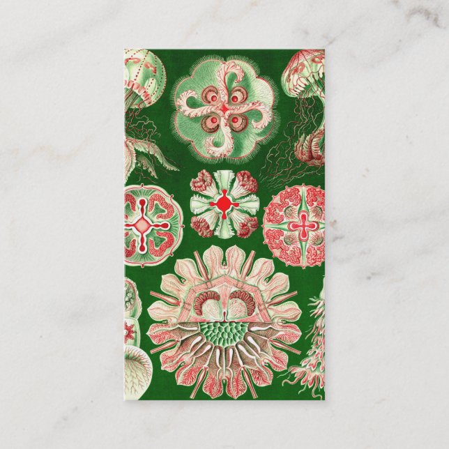Ernst Haeckel Discomedusae (Aurelia) Visitkort (Framsida)