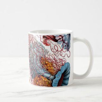 Ernst Haeckel Discomedusae manet Kaffemugg