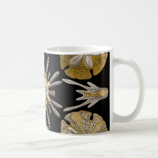 Ernst Haeckel Echinidea havsgatubarn Kaffemugg