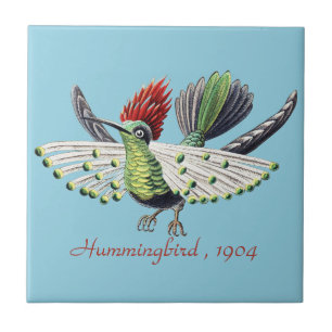 Ernst Haeckel Färgglad Kolibri Natur Konst Kakelplatta