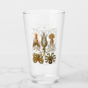 Ernst Haeckel Gamochonia, Octopus, Squid Glaskopp