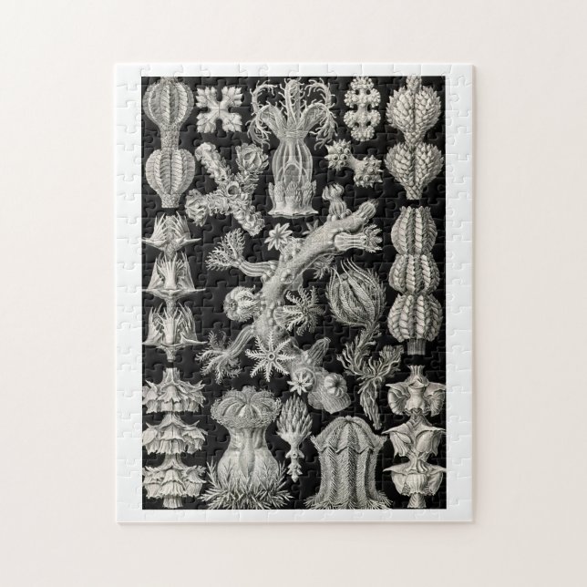Ernst Haeckel Gorgonia Pussel (Vertikal)