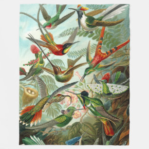 Ernst Haeckel Gorgous Art Hummingbird Fleecefilt
