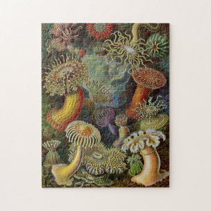 Ernst Haeckel havsanemoner Pussel