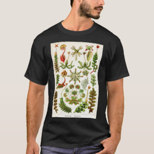 Ernst Haeckel - Hepaticae (Liverworts) - Vintage B T Shirt