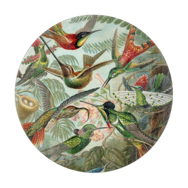 Ernst Haeckel Hummingbird - Art Forms of Nature (Framsidan)