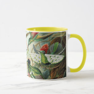 Ernst Haeckel Hummingbird - Art Forms of Nature Mugg