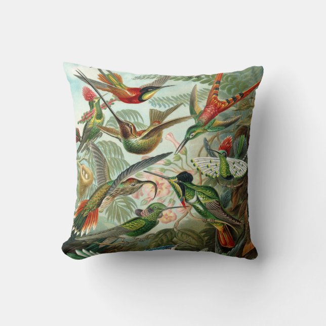 Ernst Haeckel ~ Hummingbird Cushions Kudde (Framsida)