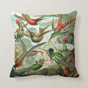 Ernst Haeckel ~ Hummingbird Cushions Kudde