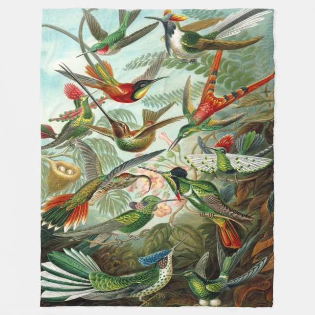 Ernst Haeckel Hummingbird Fleecefilt (Framsidan)