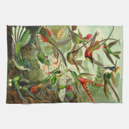 Ernst Haeckel Hummingbirdillustration Kökshandduk