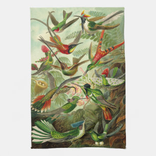 Ernst Haeckel Hummingbirdillustration Kökshandduk