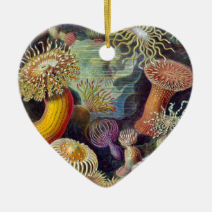 Ernst Haeckel Julgransprydnad Keramik