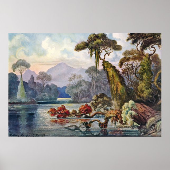 Ernst Haeckel - Kelani River Poster (Framsidan)
