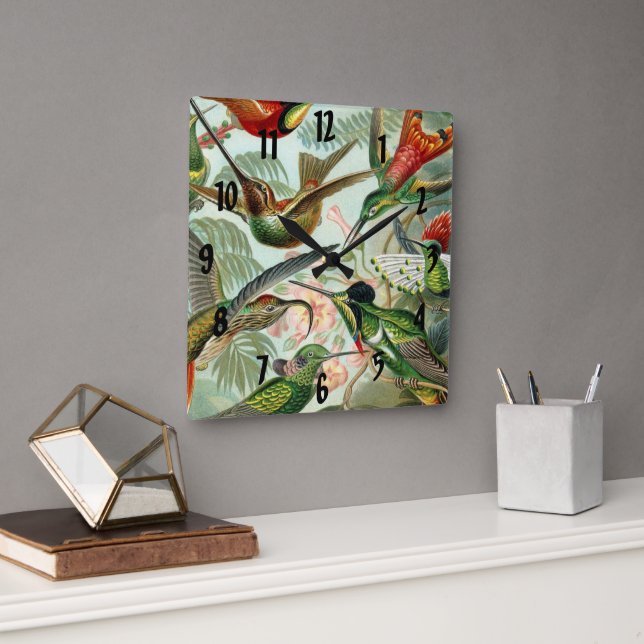 Ernst Haeckel konsttryck: Trochilidae Fyrkantig Klocka (Kontor)