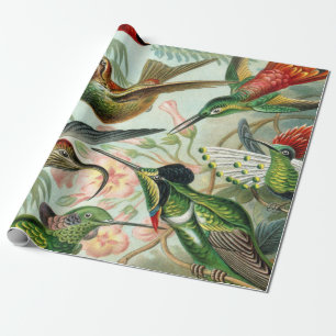 Ernst Haeckel konsttryck: Trochilidae Presentpapper