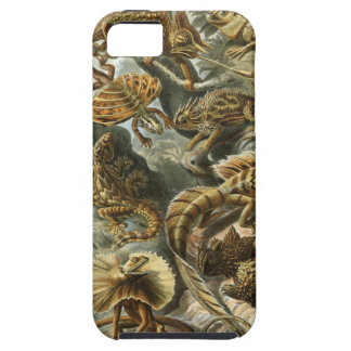 Ernst Haeckel - Lacertilia iPhone 5 Cover