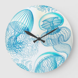 Ernst Haeckel Leptomedusae manet Stor Klocka